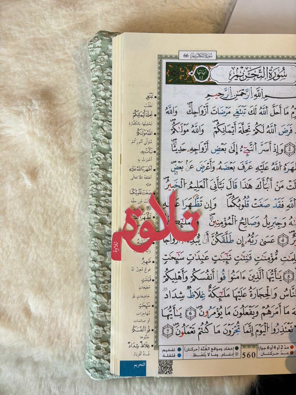 Lot de 5 marque-pages