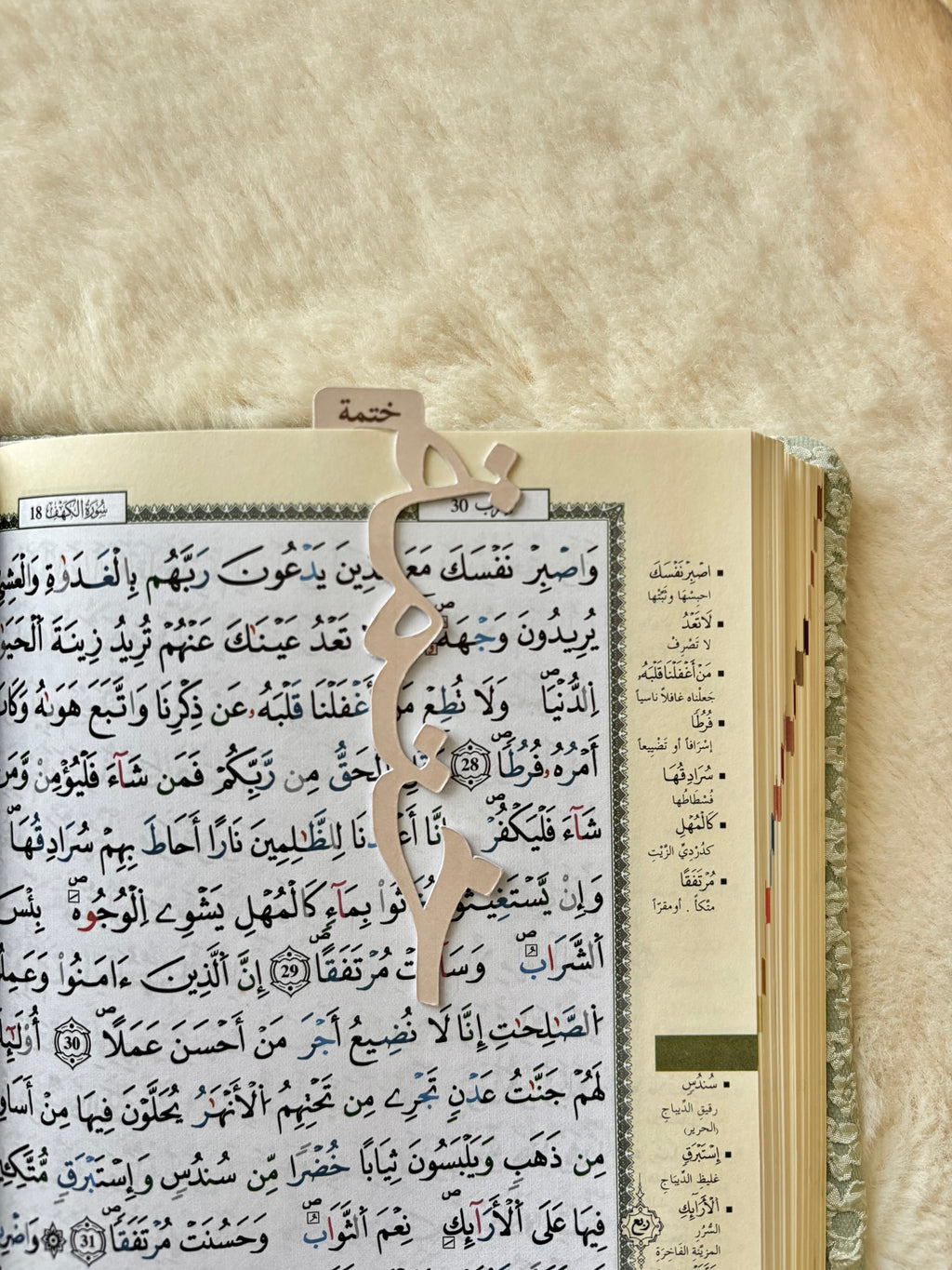 Lot de 5 marque-pages